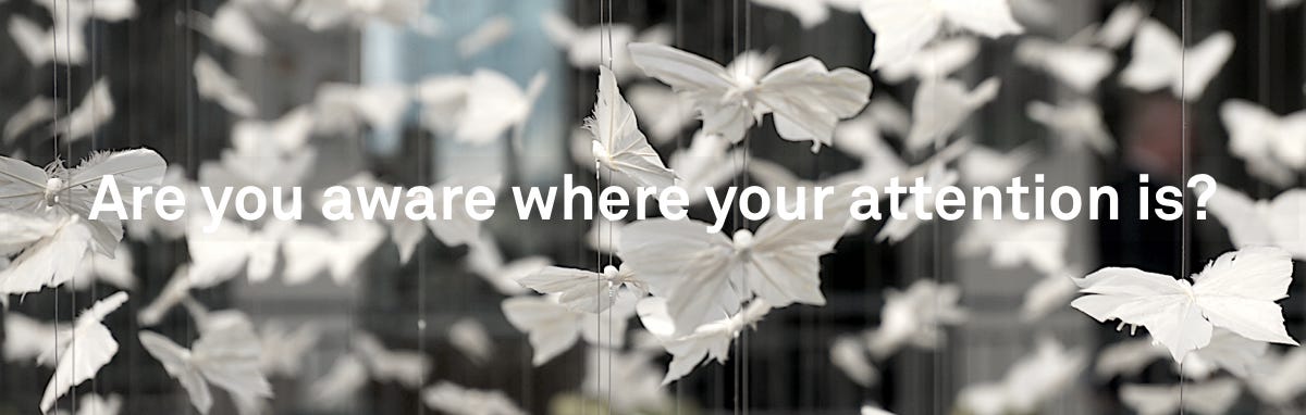 Are you aware where your attention is? Always? Is it jumping on autopilot mode from novelty to new and stronger novelty, or focused where you desire it to be? Are you aware where your attention is? Always? Is it jumping on autopilot mode from novelty to new and stronger novelty, or focused where you desire it to be?