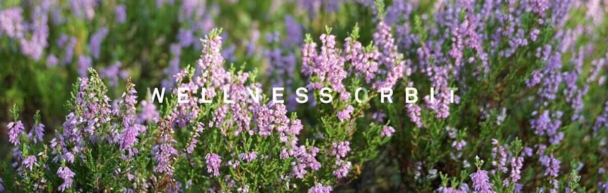Slowly observing and noticing tiny details and the serene beauty of nature allows you to become more present. Slowly observing and noticing tiny details and the serene beauty of nature allows you to become more present.