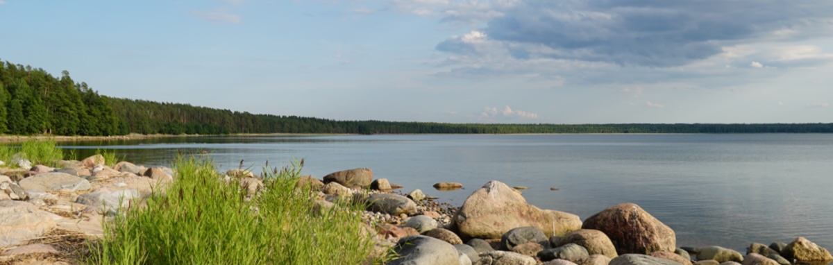 Being immersed in the calmness of natural surroundings brings you present and reduces your stress level. Being immersed in the calmness of natural surroundings brings you present and reduces your stress level.