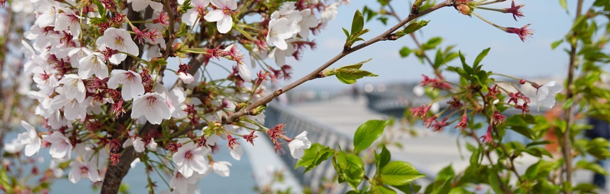 Using awareness in the present moment is what allows you to use practical intrapersonal skills to build the bridge to the bright future you desire. Using awareness in the present moment is what allows you to use practical intrapersonal skills to build the bridge to the bright future you desire.