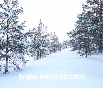 Cultivating Inner Calmness: A Journey to Mental Wellness